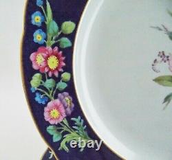 Copeland Spode England Six Antique Dinner Plates Blue Multicolored Flowers Nice