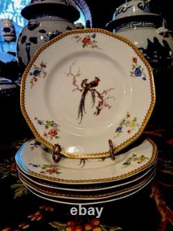 Eden Plates French Haviland Limoges