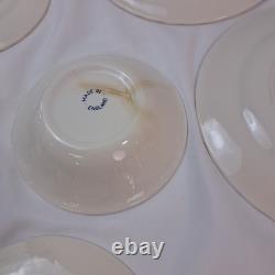 Finlandia England 20pc Dinner Set With Blue Floral Design In original Box