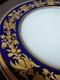 Habiland Blue & White Gold Decorated Dinner Plate 26.2cm/10.31in Used Good