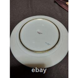High-class antique plates from Haviland Antique 20 years ago pottery