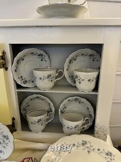 JOHANN HAVILAND Bavarian Germany BLUE GARLAND China 35 Pieces Dinner Dishes+SERV