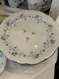 JOHANN HAVILAND Bavarian Germany BLUE GARLAND China 35 Pieces Dinner Dishes+SERV