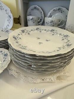 JOHANN HAVILAND Bavarian Germany BLUE GARLAND China 35 Pieces Dinner Dishes+SERV