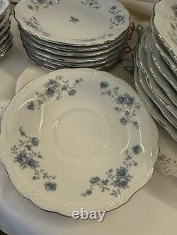 JOHANN HAVILAND Bavarian Germany BLUE GARLAND China 35 Pieces Dinner Dishes+SERV