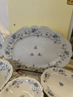 JOHANN HAVILAND Bavarian Germany BLUE GARLAND China 35 Pieces Dinner Dishes+SERV