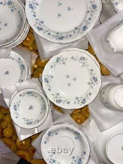 Johann Haviland Blue Garland Platinum Rimmed Germany Porcelain China 36 Pc Set