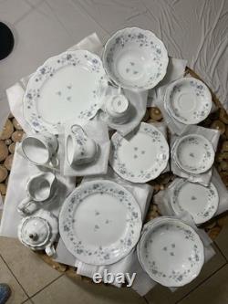 Johann Haviland Blue Garland Platinum Rimmed Germany Porcelain China 36 Pc Set