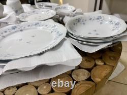 Johann Haviland Blue Garland Platinum Rimmed Germany Porcelain China 36 Pc Set