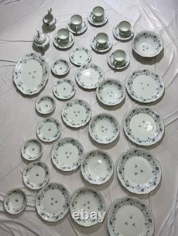 Johann Haviland Blue Garland Platinum Rimmed Germany Porcelain China 36 Pc Set