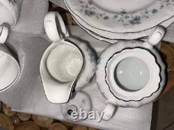 Johann Haviland Blue Garland Platinum Rimmed Germany Porcelain China 36 Pc Set