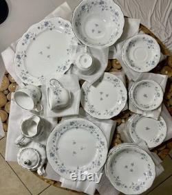 Johann Haviland Blue Garland Platinum Rimmed Germany Porcelain China 36 Pc Set