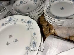Johann Haviland Blue Garland Platinum Rimmed Germany Porcelain China 36 Pc Set