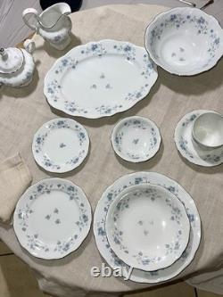 Johann Haviland Blue Garland Platinum Rimmed Germany Porcelain China 36 Pc Set
