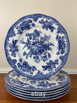 Johnson Brothers ASIATIC PHEASANT Blue 9? Dinner Plates Set of 6 MINT