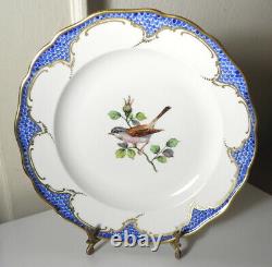 Meissen Bird Plate 10, Blue Fishnet Border