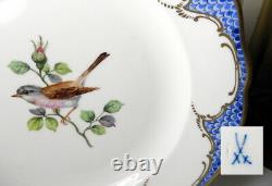 Meissen Bird Plate 10, Blue Fishnet Border