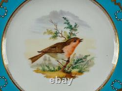 Minton Hand Painted Robin Bird White Jewelled Turquoise & Gold Ribbon Plate