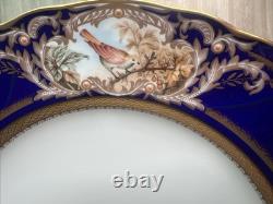 Noritake Foxboro Dinner Plates #4302 Set Of 4, Cobalt Blue & Gold Bird Motif