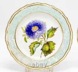 Pair Royal Crown Derby Porcelain Botanical 9.75 in Plates c1820 Blue Enamel
