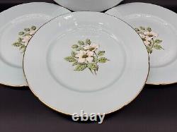 Paragon White Dogwood Mint Blue Dinner Plates (Set of 4) Bone China England
