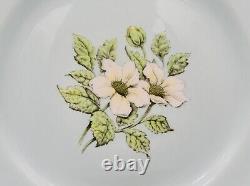 Paragon White Dogwood Mint Blue Dinner Plates (Set of 4) Bone China England