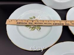 Paragon White Dogwood Mint Blue Dinner Plates (Set of 4) Bone China England