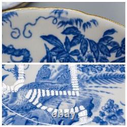 READ Royal Crown Derby Blue Aves Dinner Plates Set of 6- 10 5/8 FREE USA SHIP