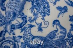 READ Royal Crown Derby Blue Aves Dinner Plates Set of 6- 10 5/8 FREE USA SHIP