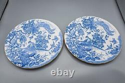 READ Royal Crown Derby Blue Aves Dinner Plates Set of 6- 10 5/8 FREE USA SHIP