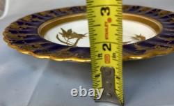 Rare Antique Spode Copeland Cobalt Blue Gilt Gold Encrusted Dinner Plate Bowl