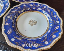 Rare Pattern Georgian Period 5 Soup Plates Bone China Coalport England 1805-1835