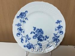 Richard Ginori Rose Blue 10.2 Dinner Plate Set of 2 Discontinued Ceramic Pre-Ow