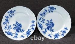Richard Ginori Rose Blue Dinner Plate 2-Piece Set 10.2 Inch Diameter
