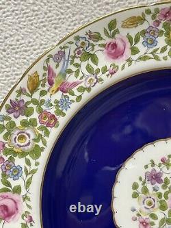 Royal Crown Derby Cotswold Navy Blue With Birds And Floral Dinner Plate Rare