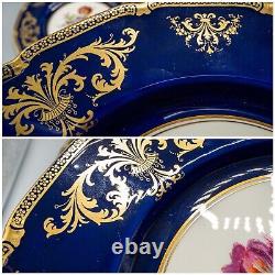 Royal Doulton E Percy Cabinet Dinner Plates 10 3/8 Cobalt Blue Rose Flower Set6