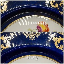 Royal Doulton E Percy Cabinet Dinner Plates 10 3/8 Cobalt Blue Rose Flower Set6