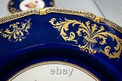 Royal Doulton E Percy Cabinet Dinner Plates 10 3/8 Cobalt Blue Rose Flower Set6