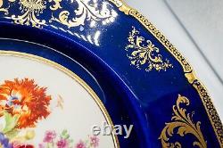 Royal Doulton E Percy Cabinet Dinner Plates 10 3/8 Cobalt Blue Rose Flower Set6