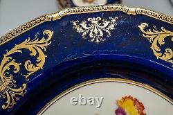 Royal Doulton E Percy Cabinet Dinner Plates 10 3/8 Cobalt Blue Rose Flower Set6