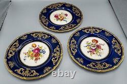 Royal Doulton E Percy Cabinet Dinner Plates 10 3/8 Cobalt Blue Rose Flower Set6