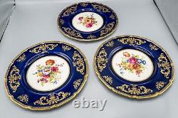 Royal Doulton E Percy Cabinet Dinner Plates 10 3/8 Cobalt Blue Rose Flower Set6