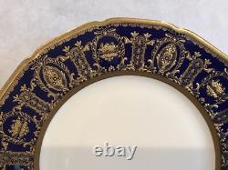 Royal Doulton porcelain dinner plate raised cobalt gold encrusted rim HB9772a