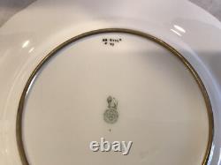 Royal Doulton porcelain dinner plate raised cobalt gold encrusted rim HB9772a