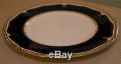 Royal Worcester DIPLOMAT Dinner Plate Fine Bone China Dinnerware