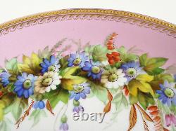 Royal Worcester Hand Painted Insect Floral Antique Cabinet Plate Pair Set 1880