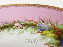 Royal Worcester Hand Painted Insect Floral Antique Cabinet Plate Pair Set 1880