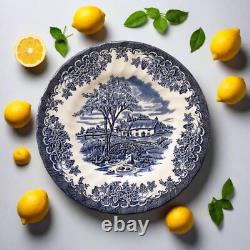SIX Blue and White Plates/Dishes. Mismatched Blue & White Transferware Plates