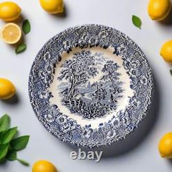 SIX Blue and White Plates/Dishes. Mismatched Blue & White Transferware Plates