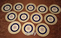 Set Of 12 Pareek Johnson Bros England Dinner Plates 10.5 Cobalt Floral Yellow